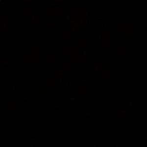 Meet your Posher, Dylan